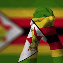 Zimbabwean Lives Matter GIF