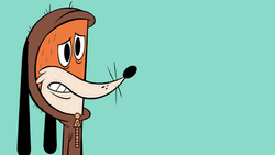 Zip Zip Washington I Know Nothing GIF