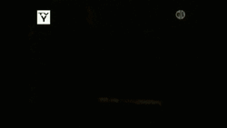 Zoboomafoo Pbs Kids GIF