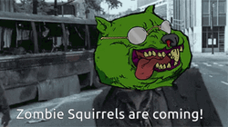 Zombie Squirrels Are Coming