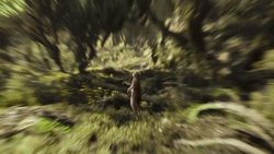 Zoomed In Shouting Meerkat  GIF