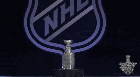 Zooming In On Stanley Cup NHL GIF