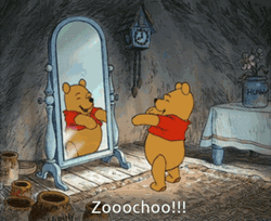 Zooochoo Dancing Winnie The Pooh  GIF