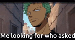 Zoro Looking For Who Asked