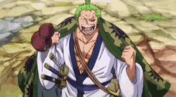 Zoro Luffy Long Time GIF