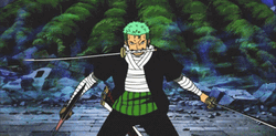 Zoro One Piece Santoryu GIF