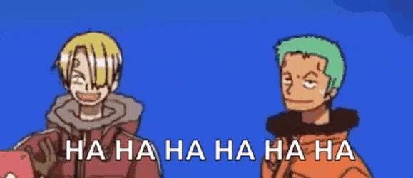 Zoro Sanji GIF