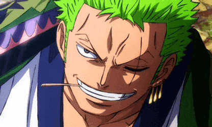 Zoro Ubejd Meme GIF