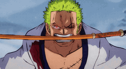 Zoro Vs King Monkey The Pirate King Son GIF