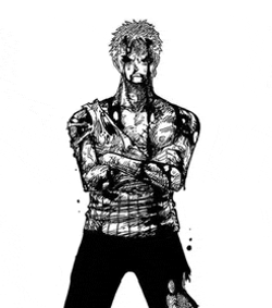 Zoro56 Zoro99 Meme GIF
