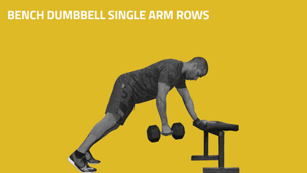 Zottman Curl Bench Dumbbell Single Arm Row GIF