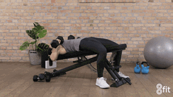 Zottman Curl Lady Bench Press Work Out GIF