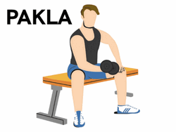 Zottman Curl Seated Bicep Curl Dumbbell Work Out GIF