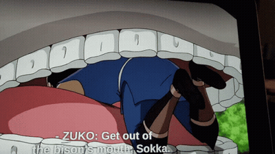Zuko Get Out Of The Bison 'S Mouth Sokka Says In A Cartoon GIF